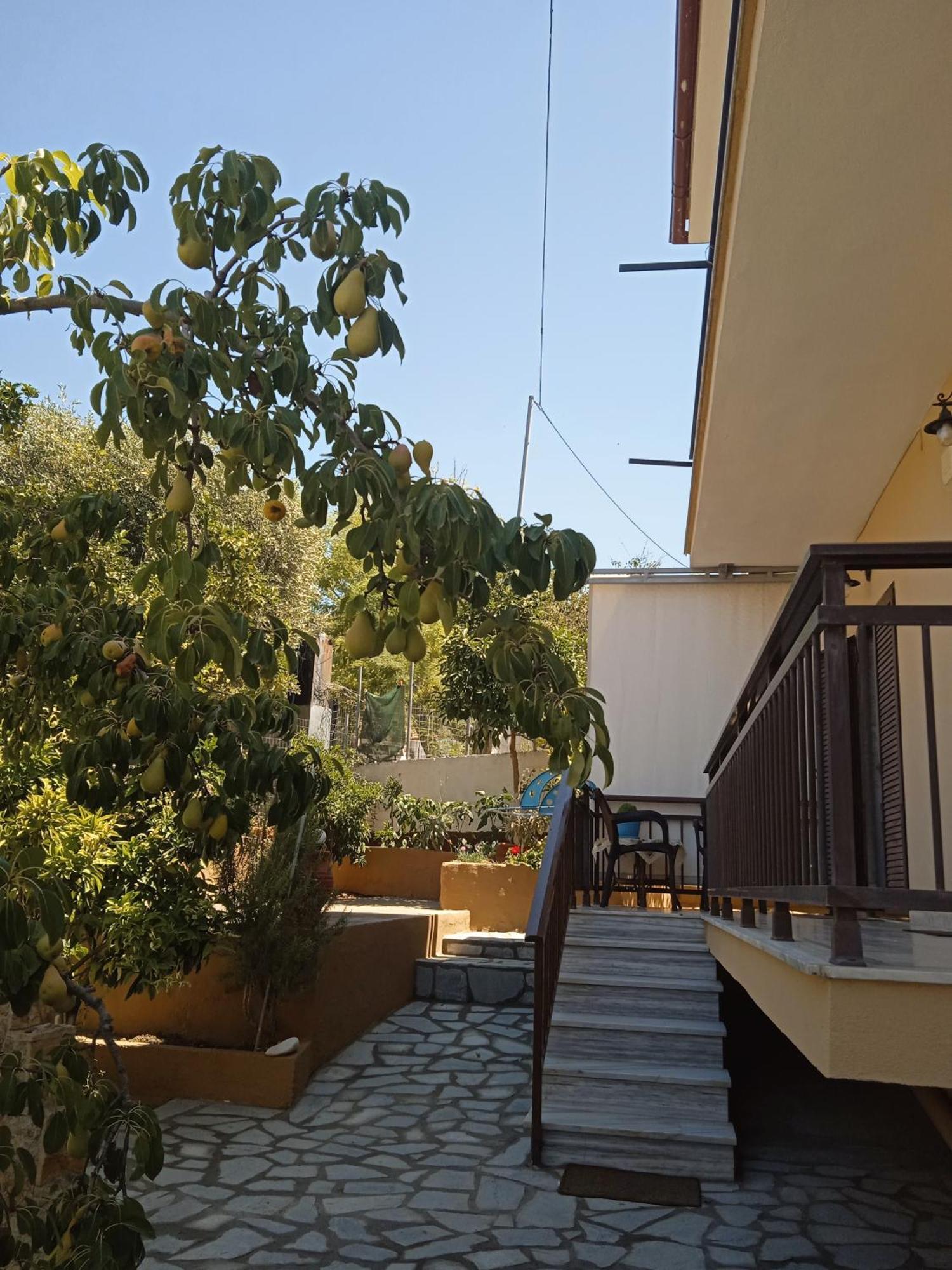Dimitra'S Garden Apartments สกาลา กัลลีราคิส ภายนอก รูปภาพ